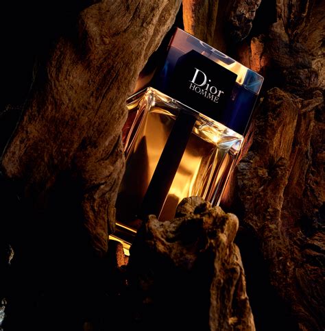 dior 2020 summer|Dior cologne 2020.